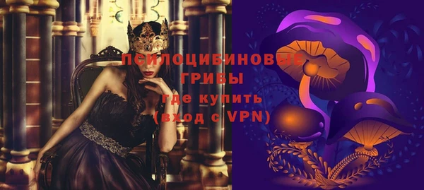 a pvp Абаза
