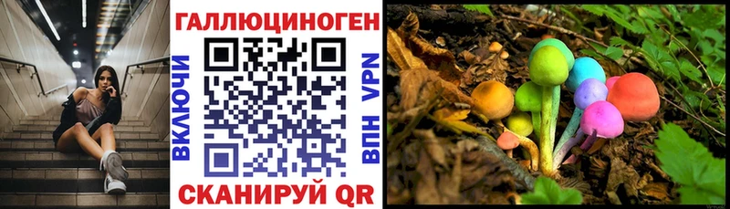 Псилоцибиновые грибы Cubensis  Новоульяновск 